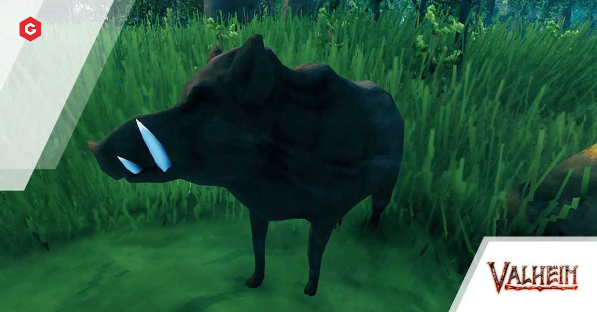 Valheim: Cómo conseguir restos de cuero