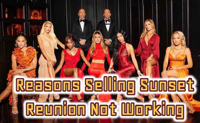 La venta de Sunset Reunion no funciona en Netflix: correcciones (noviembre de 2023) 2 Vender Sunset Reunion no funciona por razones