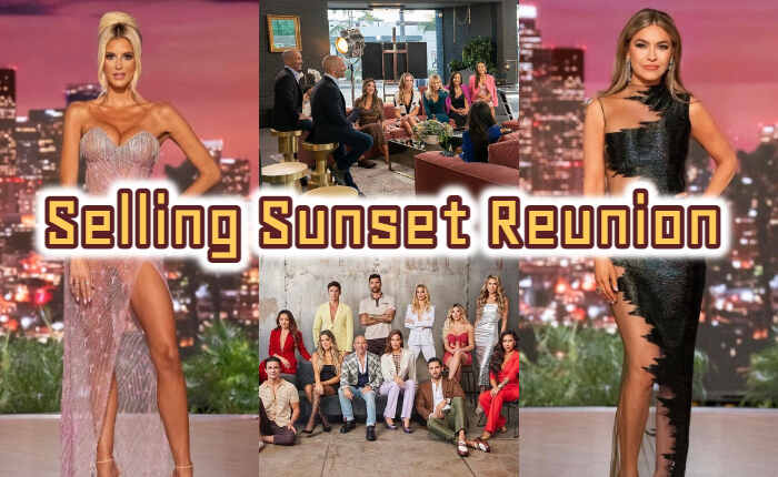 La venta de Sunset Reunion no funciona en Netflix: correcciones (noviembre de 2023) 6 Vendiendo Serie Sunset Reunion