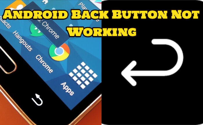 Cómo solucionar el problema del botón Atrás de Android que no funciona (noviembre de 2023) 1 El botón Atrás de Android no funciona