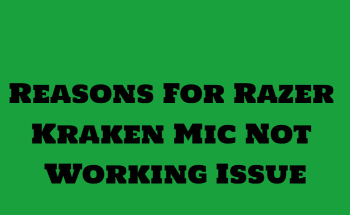 Solución del problema del micrófono Razer Kraken que no funciona (diciembre de 2023) 3 Razones por las que el micrófono Razer Kraken no funciona Problema 1