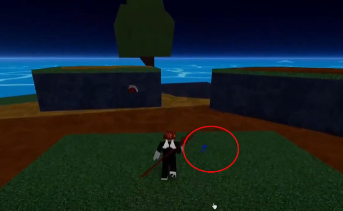 Ubicaciones de flores azules 