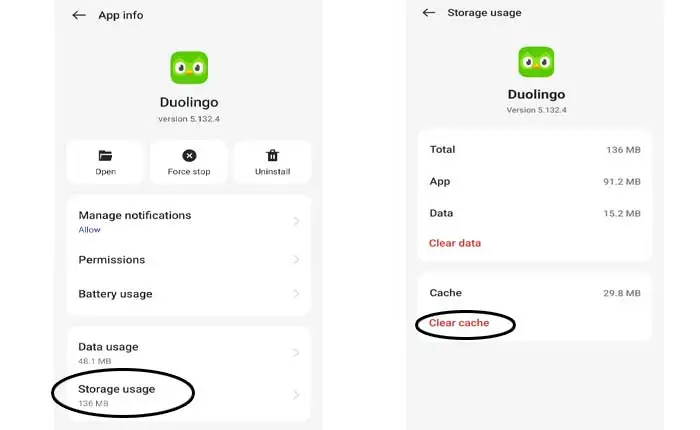 Duolingo no puede iniciar sesión Solución del problema (enero de 2024) 5 Duolingo no puede iniciar sesión