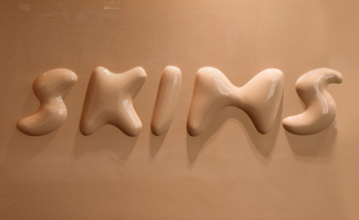 El pago de SKIMS no funciona: motivos y soluciones (2024) 1 logotipo desnatado