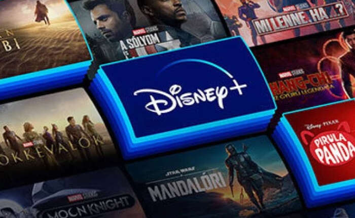 Cómo solucionar el error de contenido no disponible de Disney+ Hotstar (2024) 2 Estrella de Disney Plus