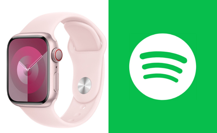 Cómo arreglar Spotify que no se abre en Apple Watch (2024) 1 Apple Watch Spotify