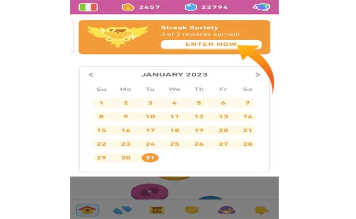 Cómo cambiar el ícono de la aplicación Duolingo (2024) 5 Cambiar el ícono de la aplicación de Duolingo