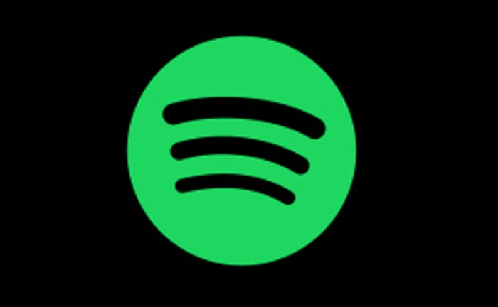 ¿Las letras de Spotify no se muestran? 5 formas de solucionarlo (2024) 3 spotify 6