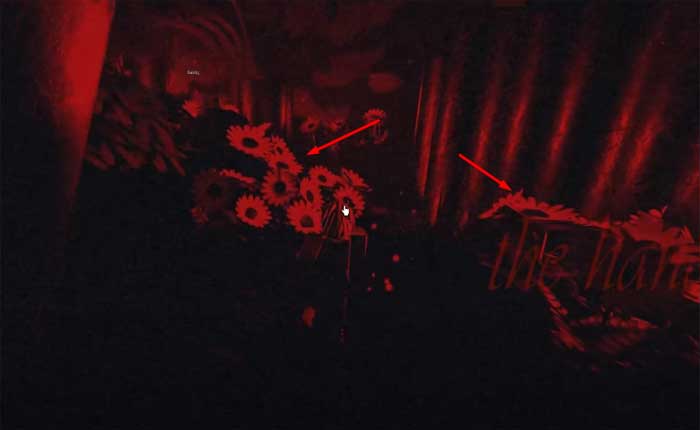 Cómo completar la misión de Lana vestida para impresionar (2024) 5 Cómo completar la búsqueda de Lana vestida para impresionar