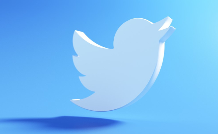 No podemos enviar un mensaje de texto en Twitter Fix (2024) 9 Gorjeo