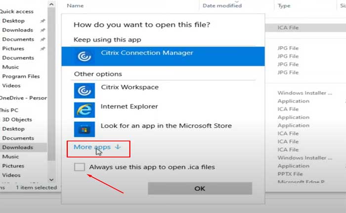 Cómo arreglar el archivo ICA que no se abre (2024) 2 Cómo arreglar el archivo Citrix ICA que no se abre
