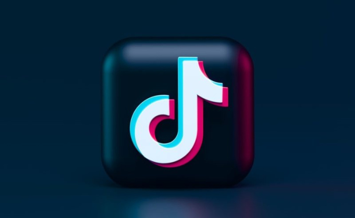 Un amigo de TikTok no aparece en Enviar a: correcciones (2024) 1 Logotipo de TikTok