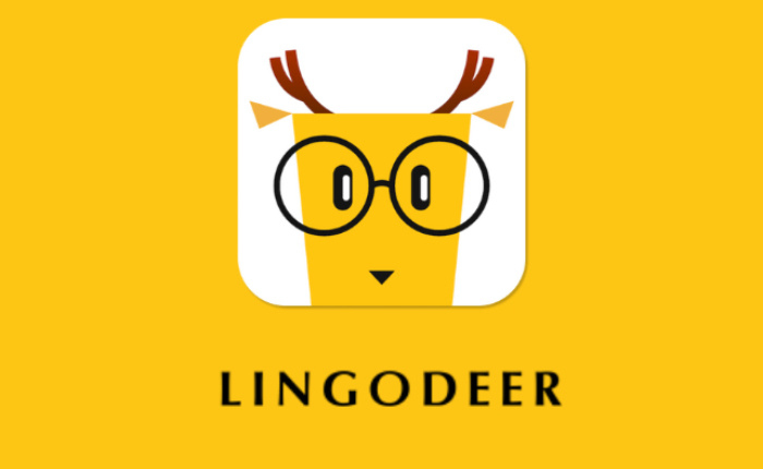 Duolingo Vs LingoDeer: Qué aplicación de idioma es mejor (mayo de 2024) 4 LingoCiervo