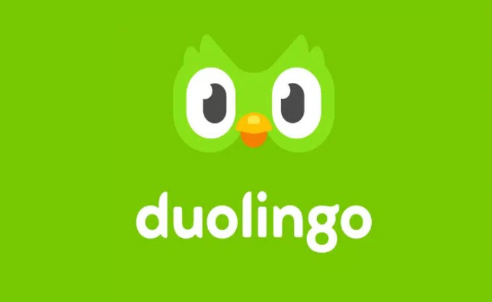 Duolingo Vs LingoDeer: Qué aplicación de idioma es mejor (mayo de 2024) 3 Duolingo