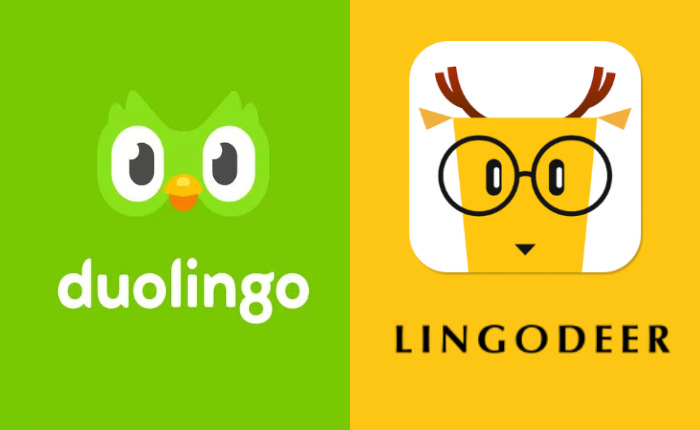 Duolingo Vs LingoDeer: Qué aplicación de idioma es mejor (mayo de 2024) 1 Duolingo vs LingoDeer